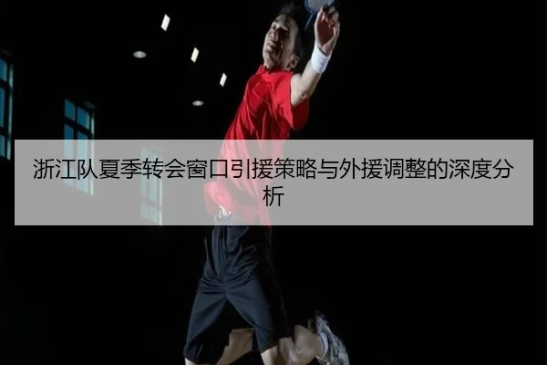 浙江队夏季转会窗口引援策略与外援调整的深度分析